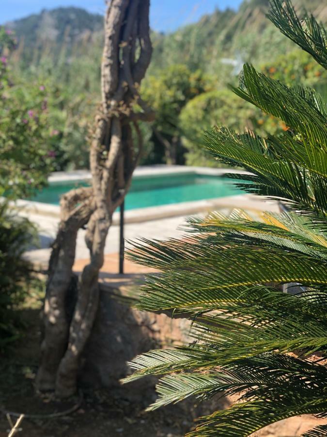 Ses Llimoneres Holiday home